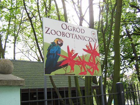 Zoo Toruń 2008